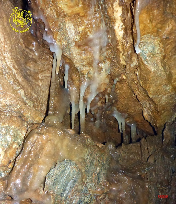 Brčková výzdoba v Nové jeskyni je narostlá i na fylitu, kde krápníky běžně nevznikají - kliknutím zvětšíte